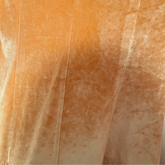 NWT Orange Cider Gathered Velvet
Dress - Picture 6 of 7